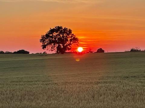 Les Cypres De Crose I Villa Badefols-sur-Dordogne Екстериор снимка