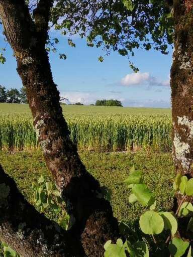 Les Cypres De Crose I Villa Badefols-sur-Dordogne Екстериор снимка