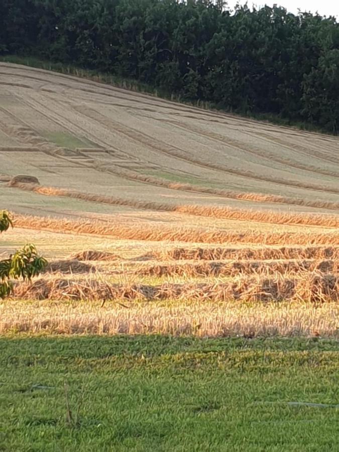 Les Cypres De Crose I Villa Badefols-sur-Dordogne Екстериор снимка