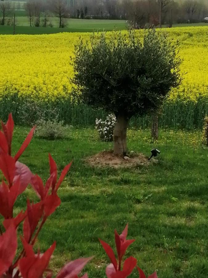 Les Cypres De Crose I Villa Badefols-sur-Dordogne Екстериор снимка