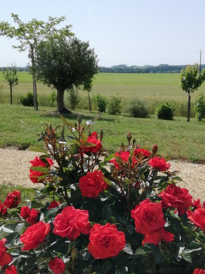 Les Cypres De Crose I Villa Badefols-sur-Dordogne Екстериор снимка